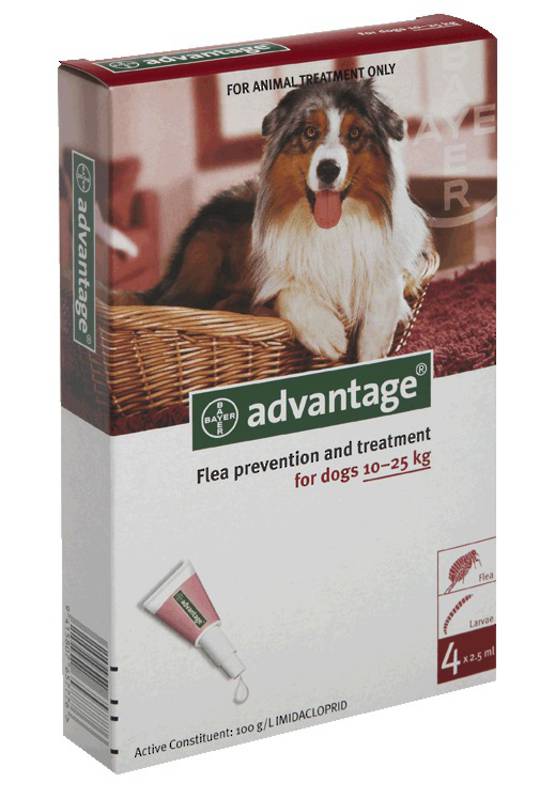 Advantage Red Large Dog 4's